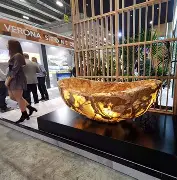 鱼腩维罗纳旋风,伊蒂腊大怒 鱼腩维罗纳旋风,伊蒂腊大怒