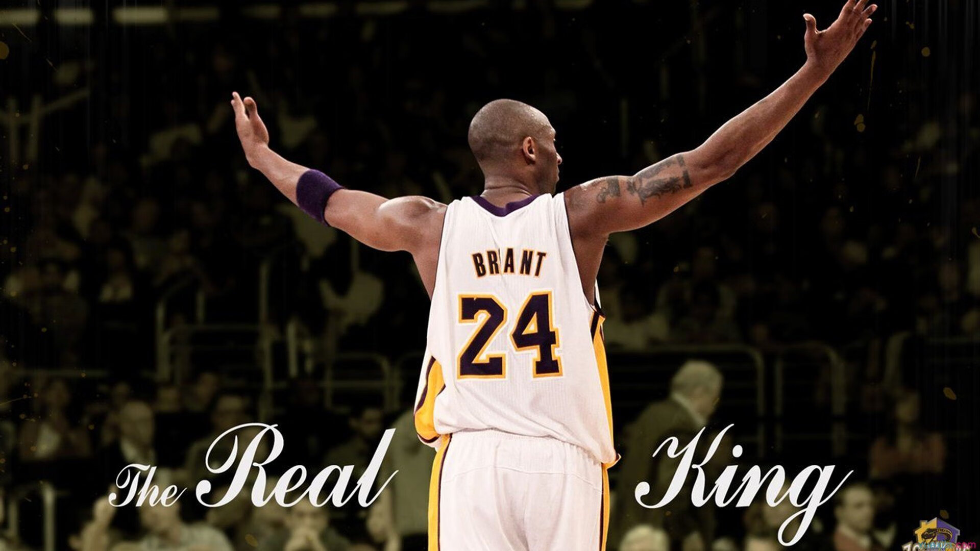 孤胆英雄与团队救赎，德约科维奇ATP总决赛绝杀法网，扛起全队荣光的背后